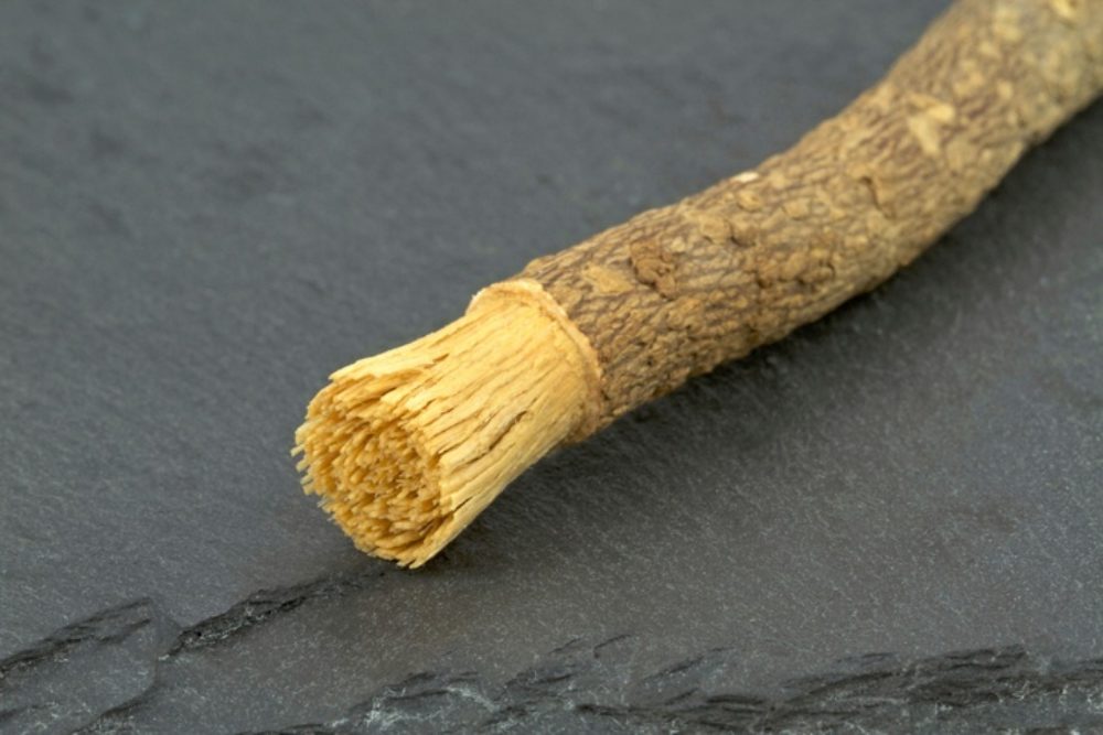 Reasons To Brush Your Teeth With A Miswak Stick