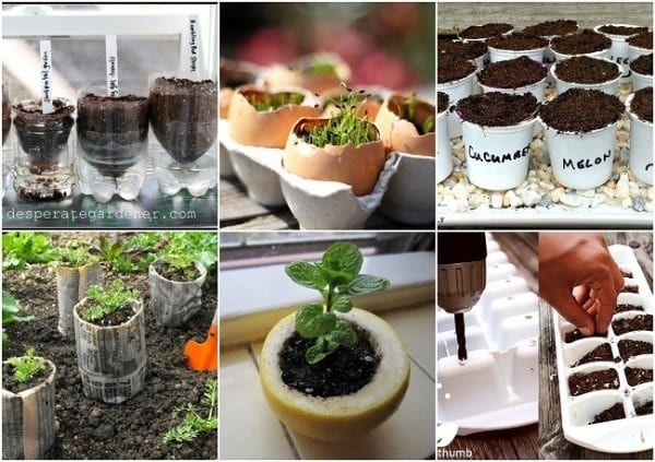 10 Unbelievably Creative Seed Starting Ideas You've Got To Try