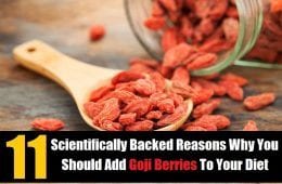 mildew powdery goji