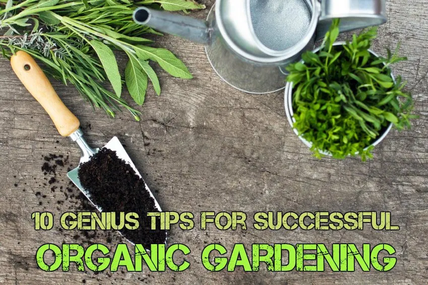 https://www.naturallivingideas.com/wp-content/uploads/2015/05/organic-gardening-text.jpg.webp