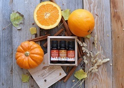 The Best Smelling Fall Essential Oil Blends for Home Fragrance » A Home To  Grow Old In