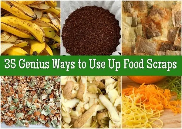 https://www.naturallivingideas.com/wp-content/uploads/2015/12/35-Genius-Ways-to-Use-Up-Food-Scraps-600x427.jpg.webp