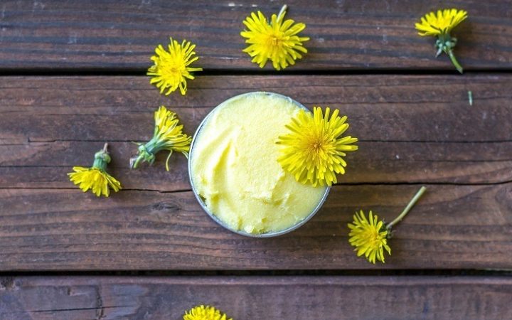 How To Make A Dandelion & Coconut Oil Moisturizer