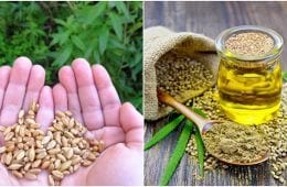 9 Surprising Reasons Why You Should Be Eating Hemp Seeds