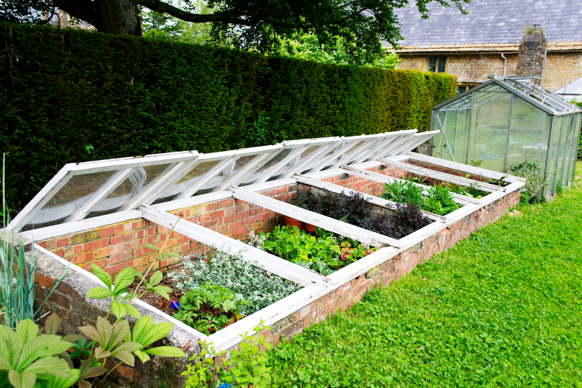 Cold Frame Designs At Evelyn Velazquez Blog