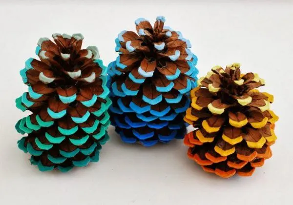 pine cone design