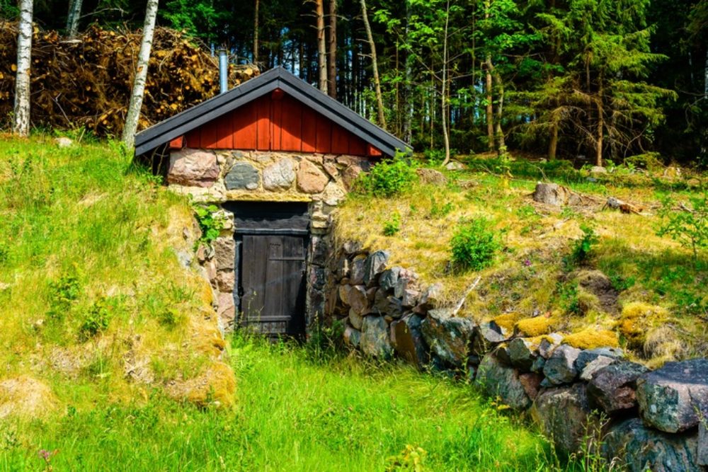 how-to-build-your-own-root-cellar-the-total-guide