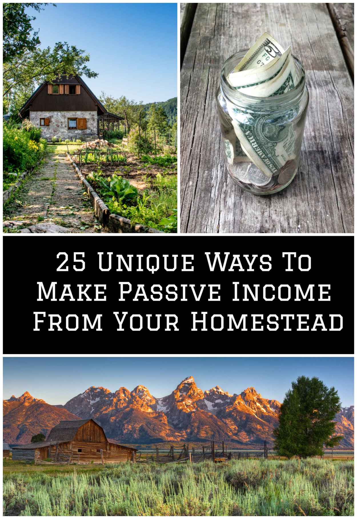 25 Unique Ways To Make Passive Income From Your Homestead