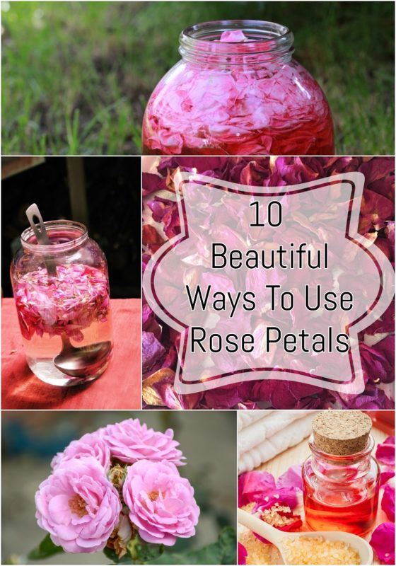 How To Use Rose Petals