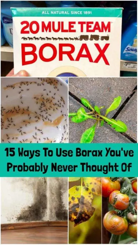 13 Genius Ways to Use Borax Around the House