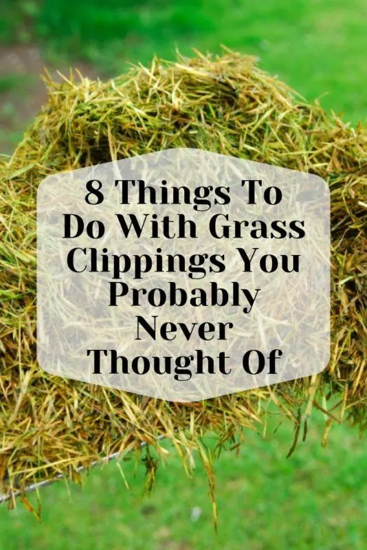 6 Reasons You Should Never Bag Your Grass Clippings