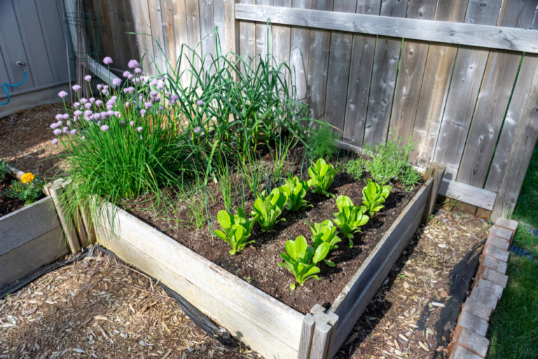 How To Plan A Square Foot Vegetable Garden - The Easiest Way To Grow ...