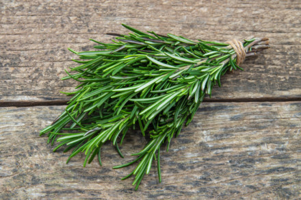 20 Unusual Ways To Use Rosemary That Goes Way Beyond Cooking