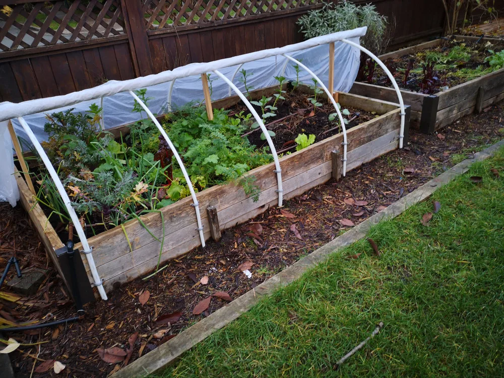 https://www.naturallivingideas.com/wp-content/uploads/2020/04/Polytunnel-raised-bed.jpg.webp