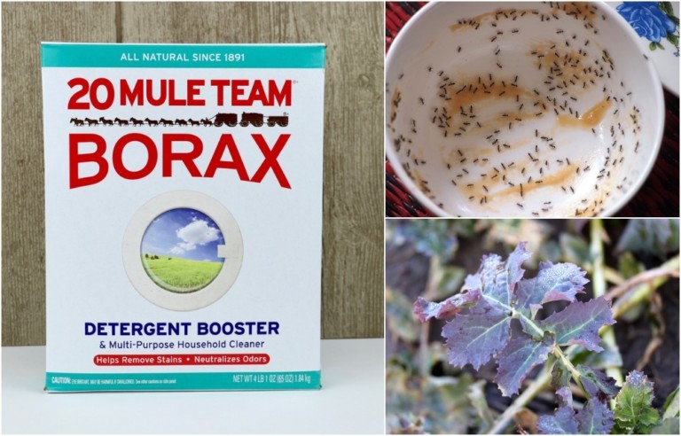 15 Ways To Use Borax You've Probably Never Even Thought Of