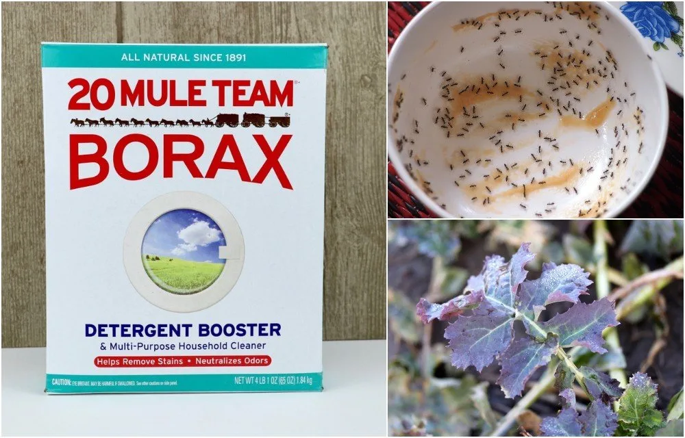 Mule Team Borax All Natural Detergent Booster & Multi-purpose