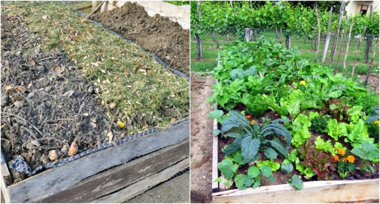 9 Reasons To Try Lasagna Gardening & How To Get Started