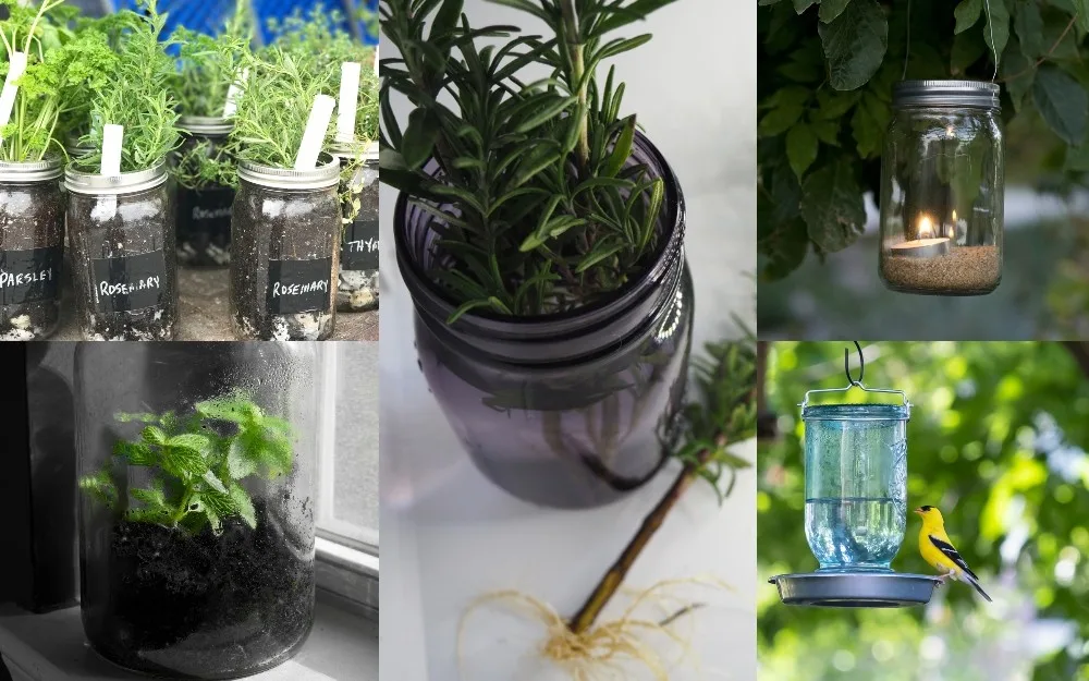 Make a DIY straw holder using a glass jar in a few simple steps!